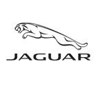 jaguar-ok
